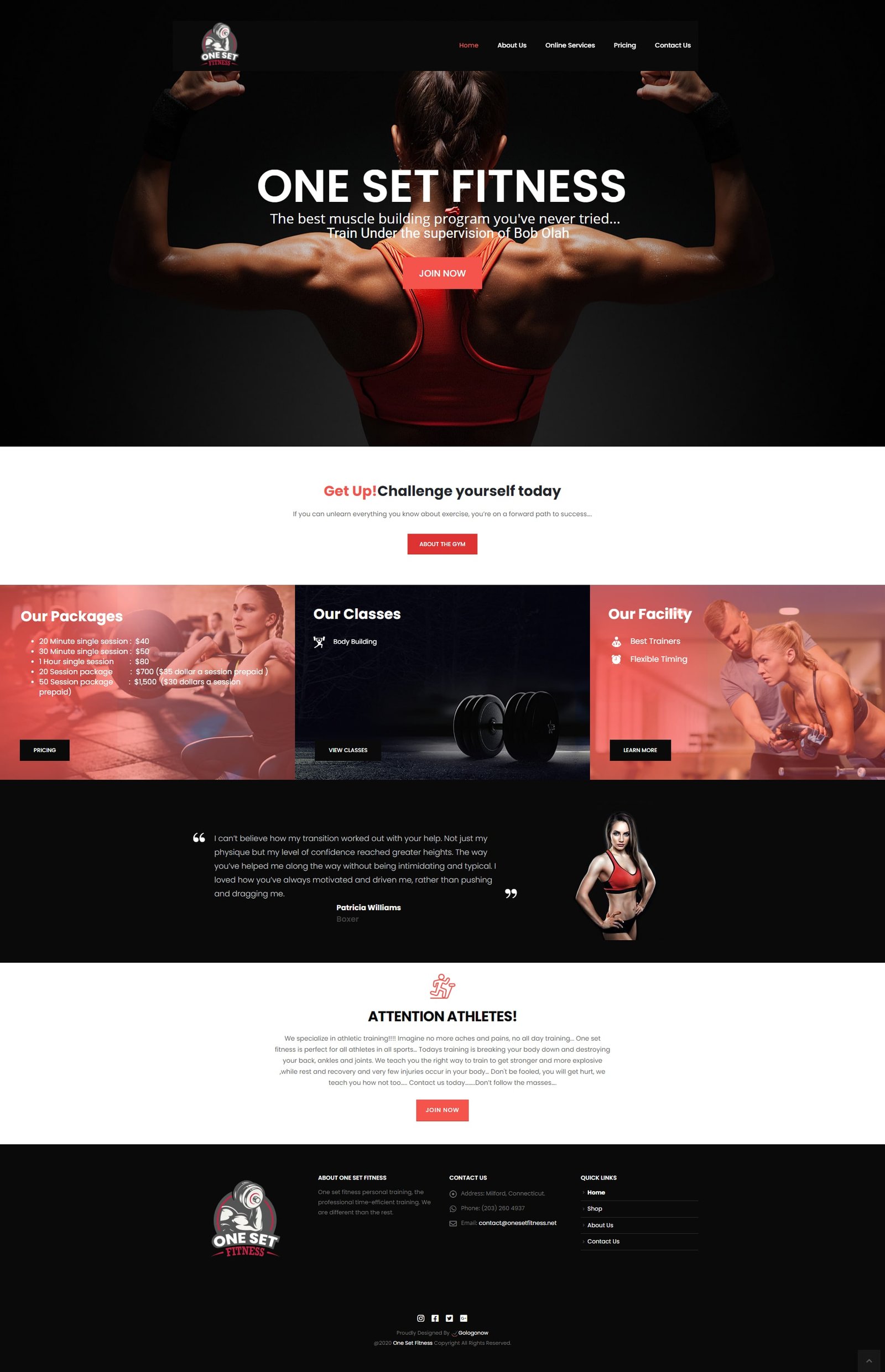 Website design portfolio project